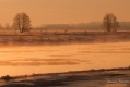 070_Biebrza - marzec 2013